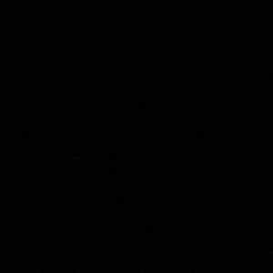 Meet your Posher, Sophia