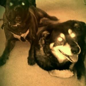 Meet your Posher, Judy