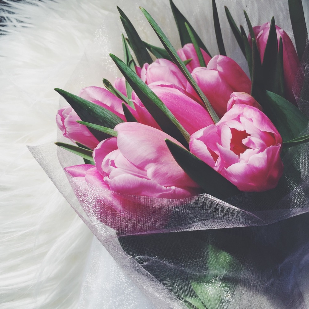 Happy Valentine's Day lovelies! ✨💕🌷💝