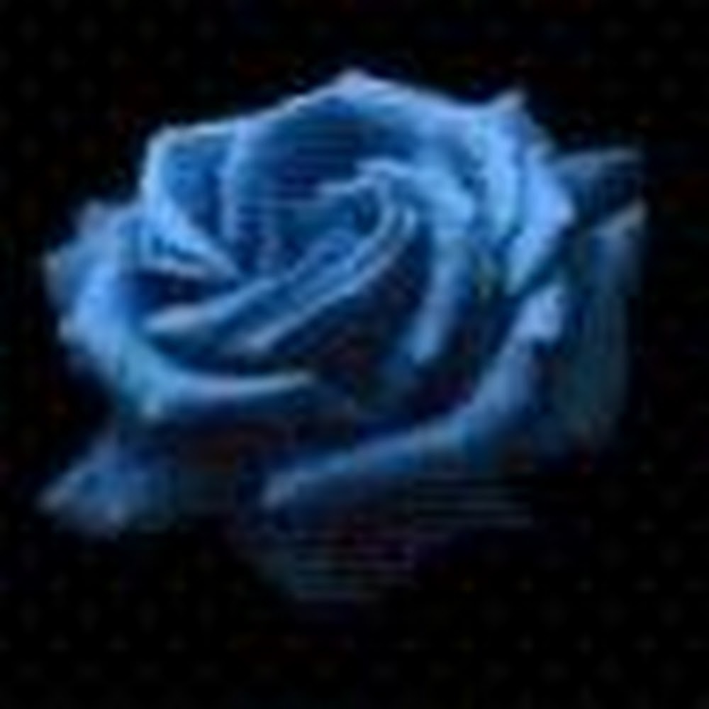 Meet your Posher, Carlye