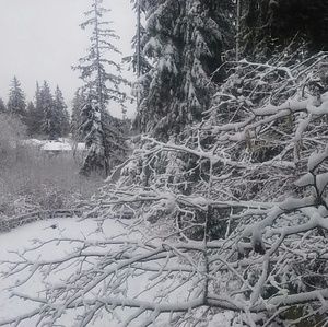 Meet your Posher, Curt