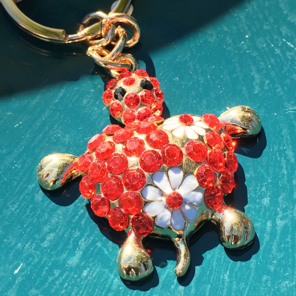 Daisy 🌼 adorned 🌸 turtle 🐢 with bling