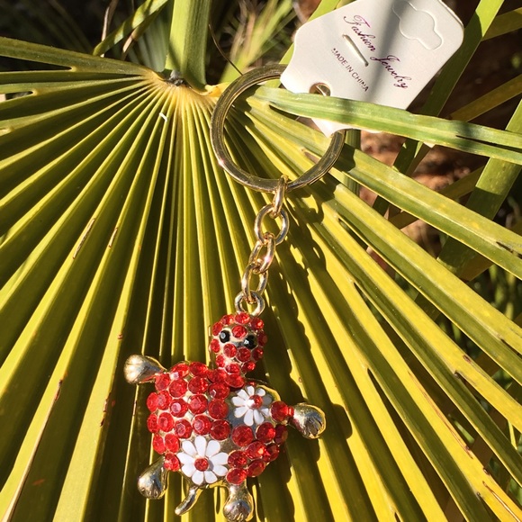 Daisy 🌼 adorned 🌸 turtle 🐢 with bling - Picture 4 of 4