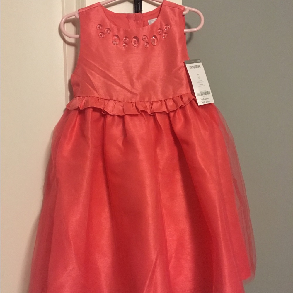 Gymboree Coral Tulle Dress