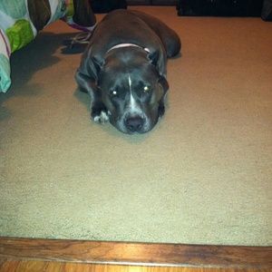 Meet your Posher, Susan