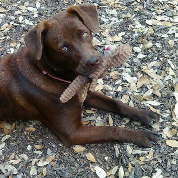 I love my fur babies! Animals Rule!! - Picture 2 of 8