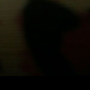 Meet your Posher, Joyce