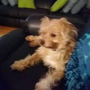 Meet your Posher, Miriam