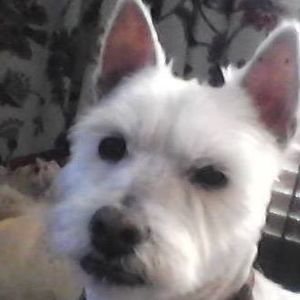 Meet your Posher, Cathy