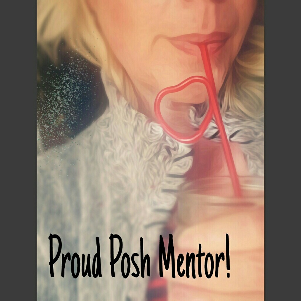 Posh Mentor