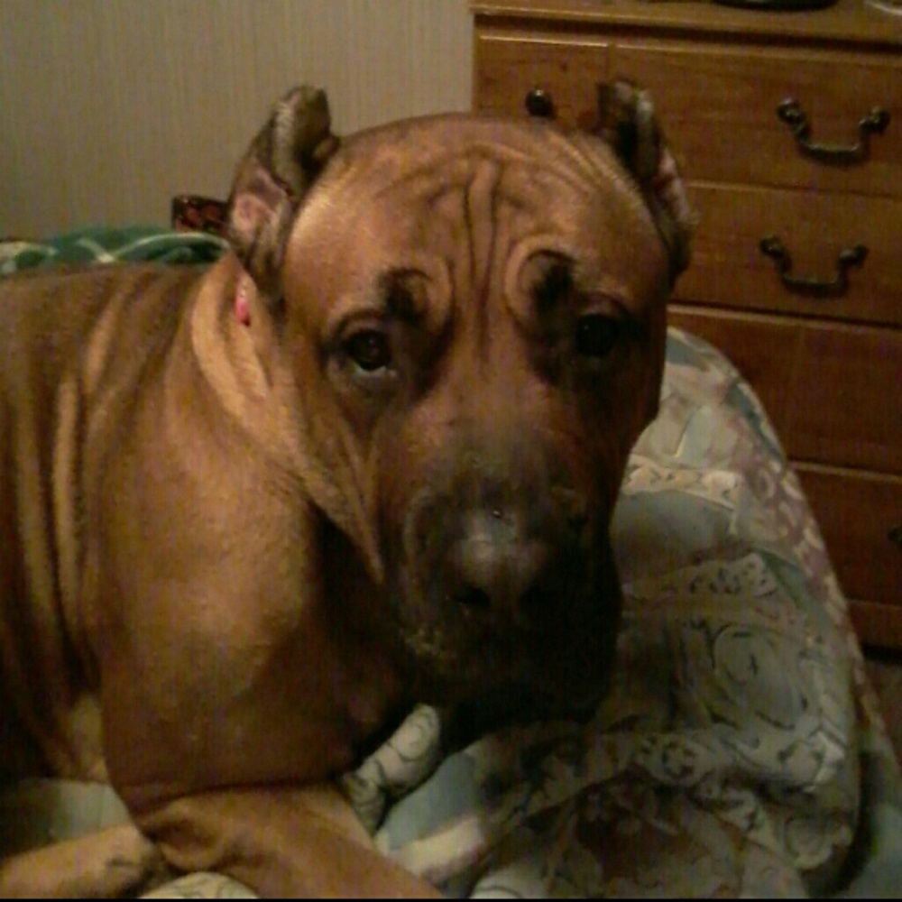 Meet your Posher, Sonya