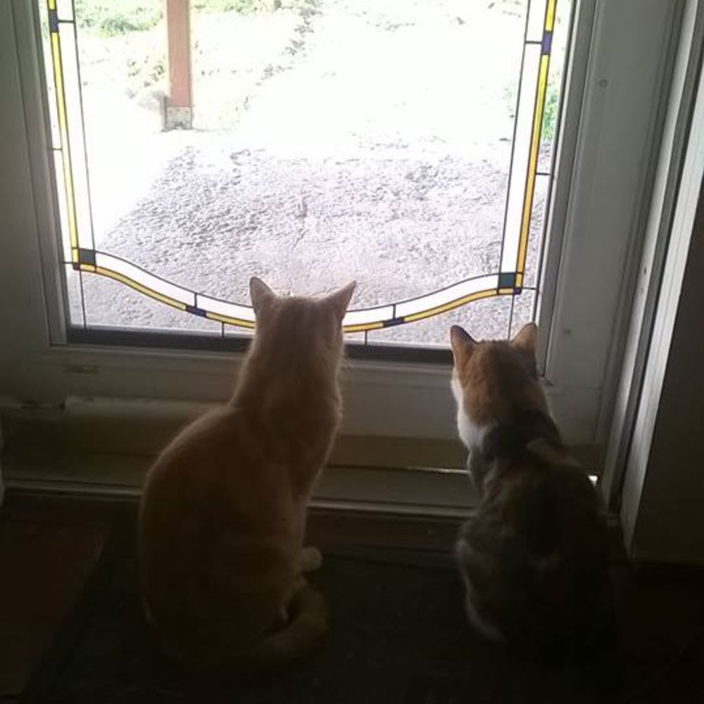 Meet your Posher, Luann