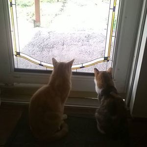 Meet your Posher, Luann