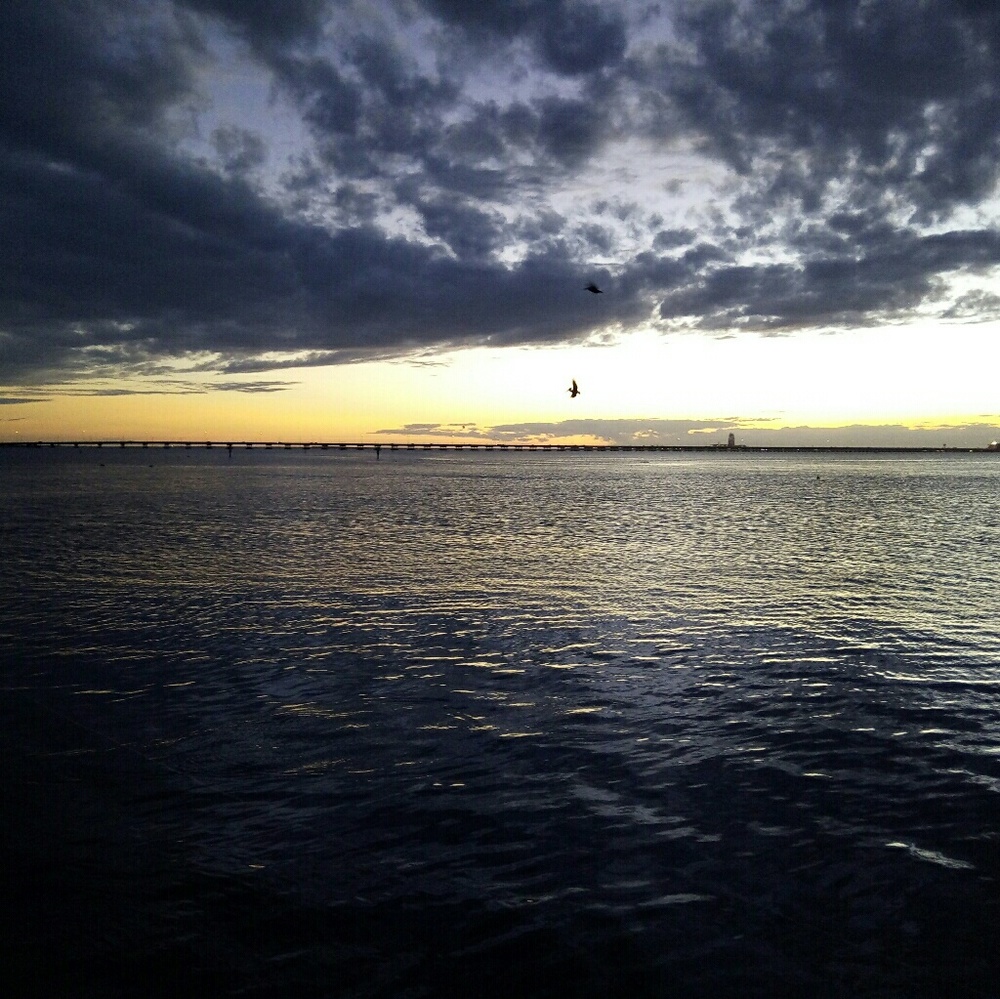 Meet your Posher, Ana