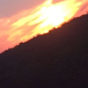 Meet your Posher, Elaina