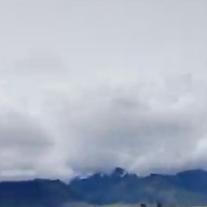 Meet your Posher, Brendan