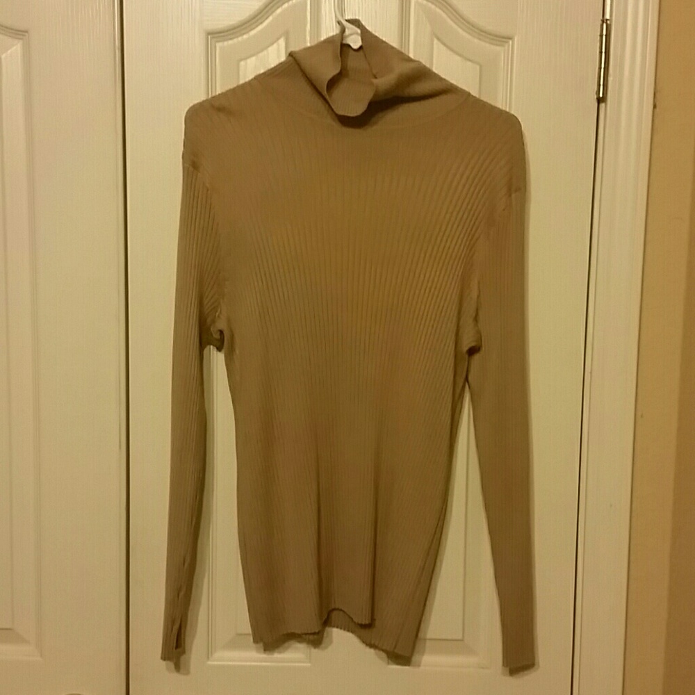 Lane Bryant Turtle Neck Sweater