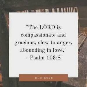 Meet your Posher, Fred