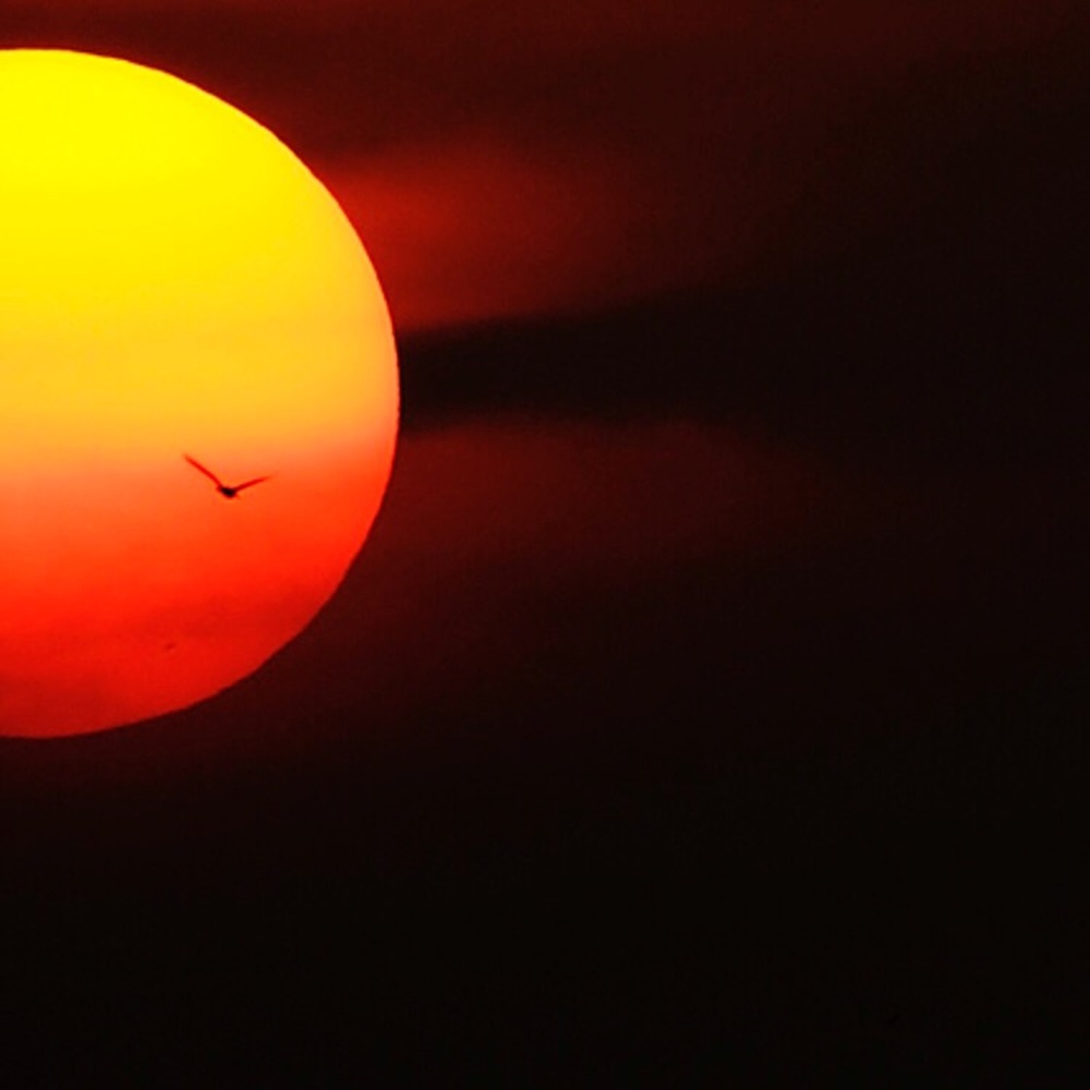 Meet your Posher, Jairo