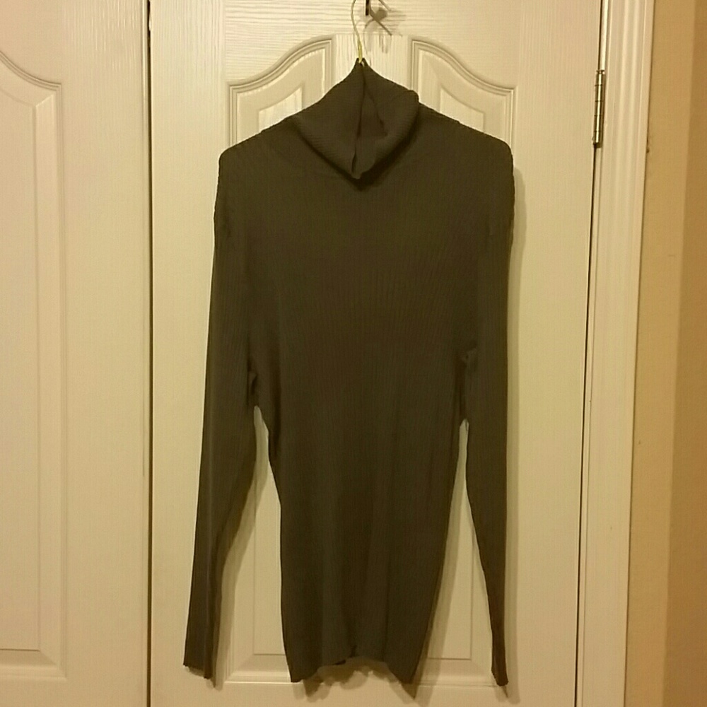 Lane Bryant Turtle Neck