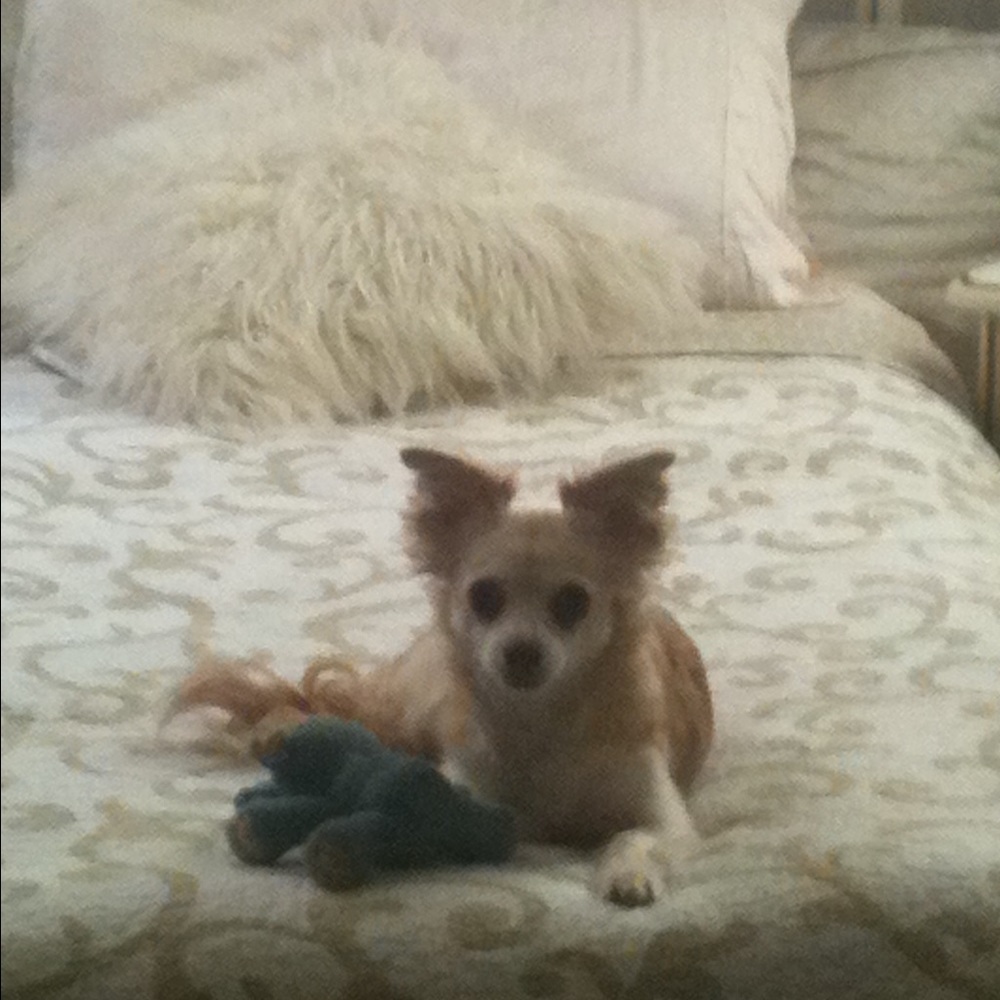 Meet your Posher, Michele