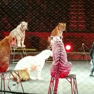 Meet your Posher, Christi