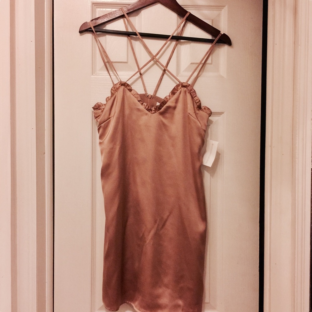 Rose gold slip on silk dress (with tag)
