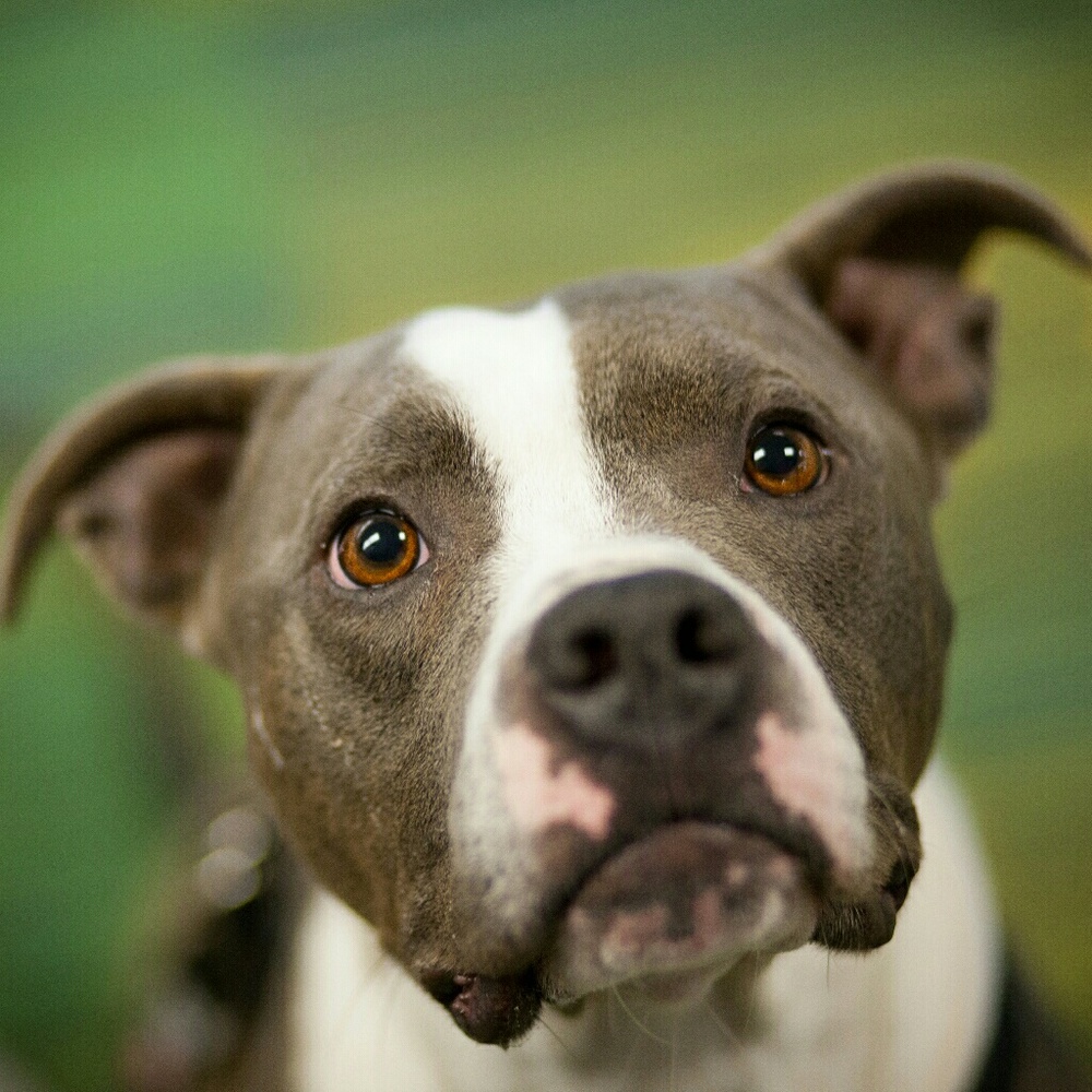 Meet your Posher, Courtney