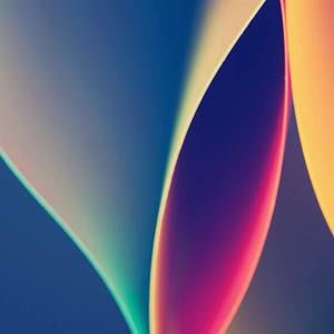 Meet your Posher, Darlene