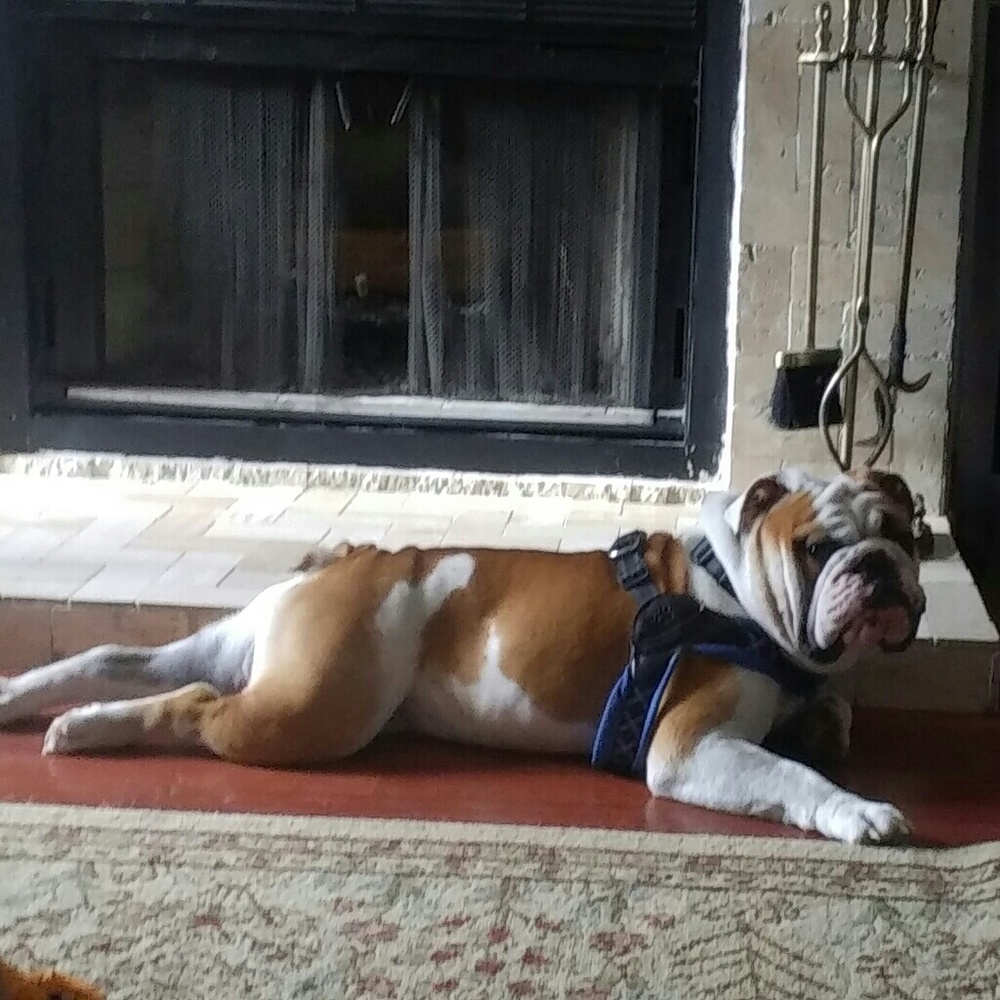 Meet your Posher, Jeane