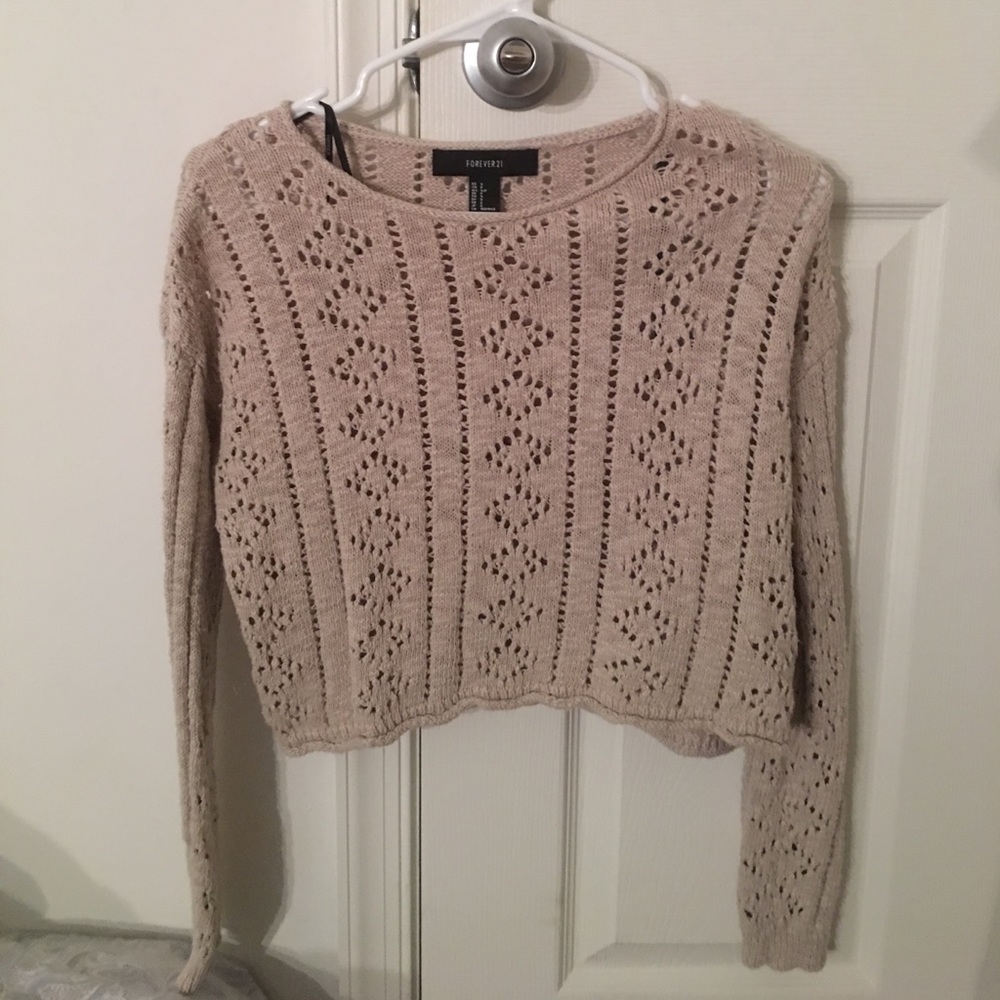 F21 cropped sweater