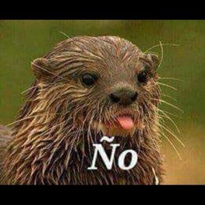 Meet your Posher, Zulema