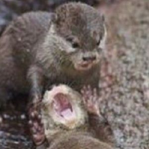 Meet your Posher, Zoe