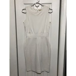 Banana Republic White Fitted Dress