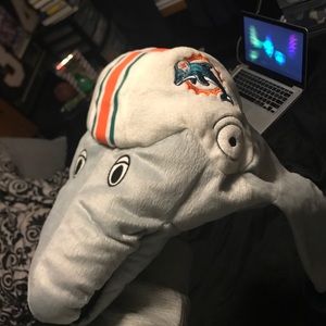 Miami Dolphins hat