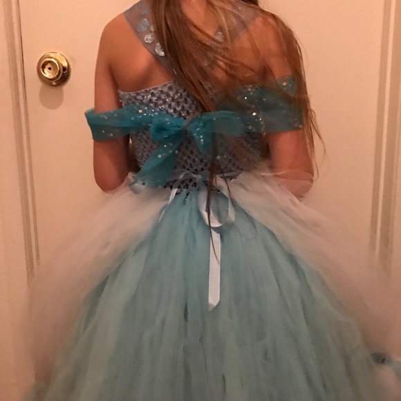 Made to order Cinderella Tutu Dress - Picture 4 of 4