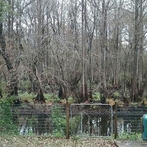 Meet your Posher, Pam