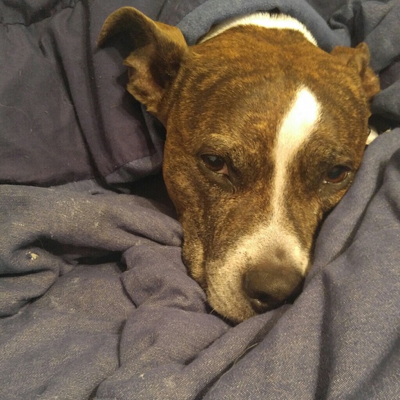 Meet your Posher, Austin - Picture 1 of 1