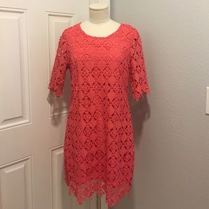 Beautiful Lace Dress for Spring!