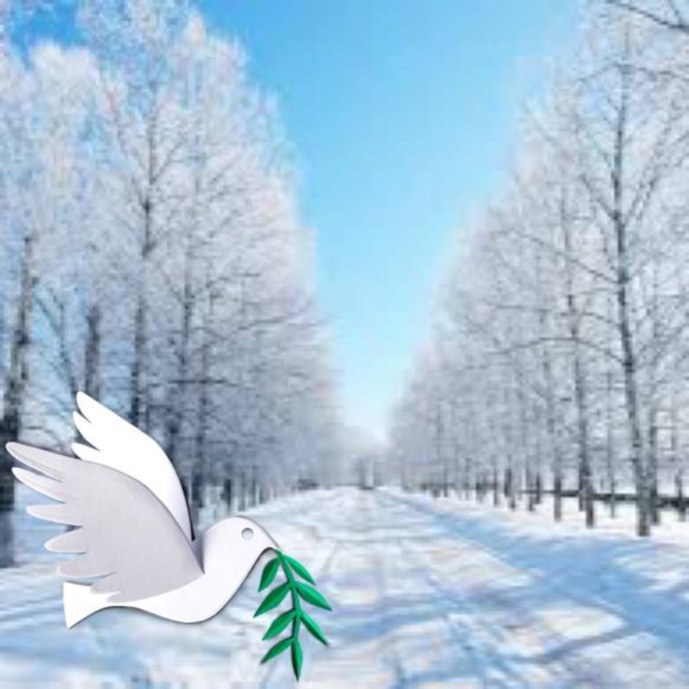 Meet your Posher, Mitzie