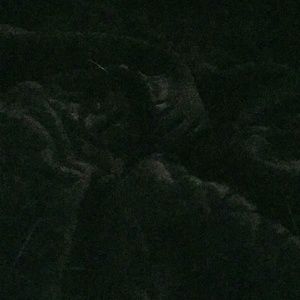 Meet your Posher, Alana