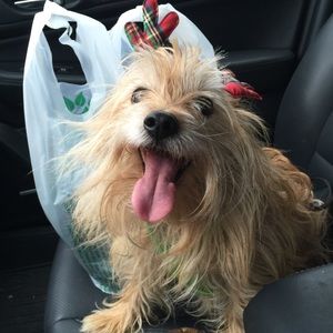 Meet your Posher, Al