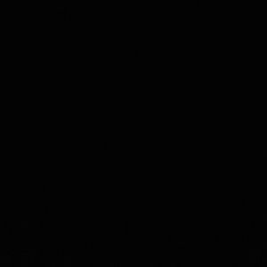 Meet your Posher, Sandy