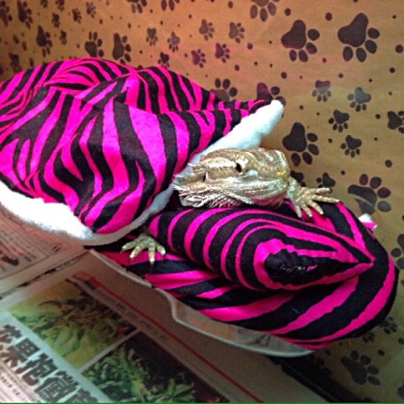 BEARDEDDRAGON ZIBRA PRINT SET BED COVERS - Picture 4 of 4
