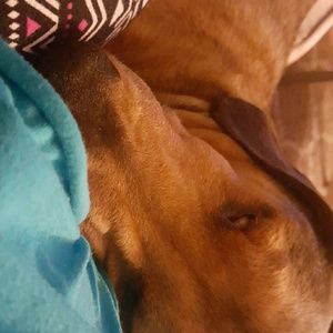 Meet your Posher, Cece