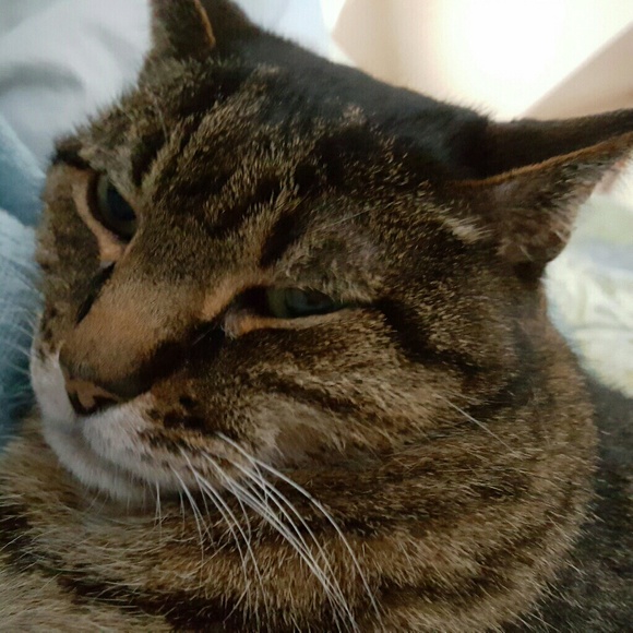 Meet your Posher, Jerri - Picture 1 of 1