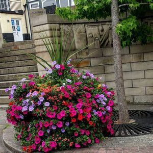 Meet your Posher, Maridee