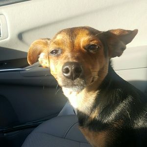 Meet your Posher, Stacey