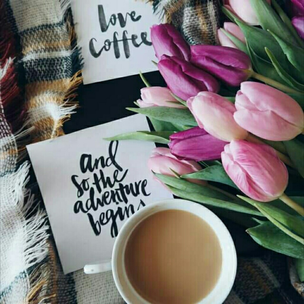 Meet your Posher, Darci