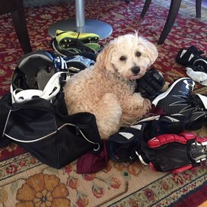 Meet your Posher, Thomas